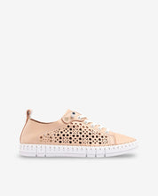 Flow rose 002 baskets