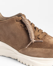 Sneaker VERONA-260 marrón
